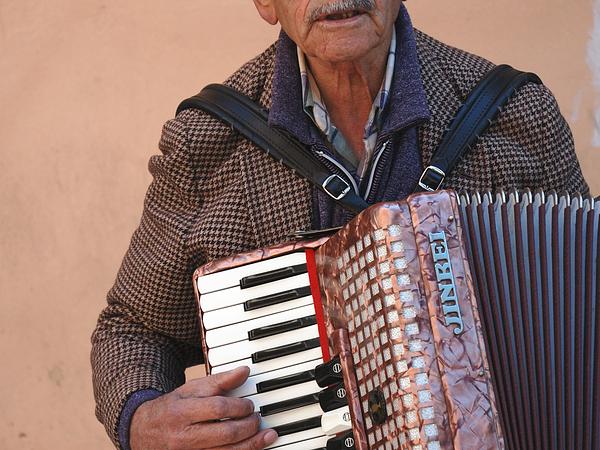 Street accordion player